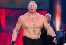 brock lesnar