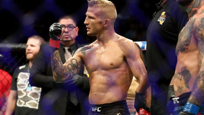 TJ Dillashaw, UFC