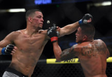 Nate Diaz, UFC 241