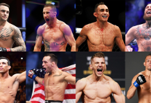 UFC lightweights, Poirier, Oliveira, Gaethje, Chandler, Ferguson, Hooker, McGregor, Diaz