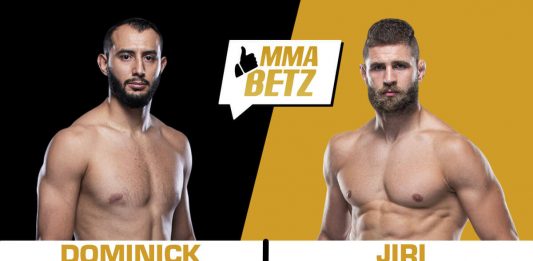 UFC Vegas 25: Dominick Reyes vs Jiri Prochazka