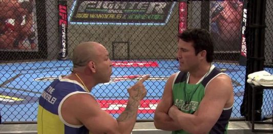 UFC, Wanderlei Silva, Chael Sonnen