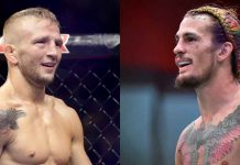 TJ Dillashaw, Sean O'Malley, UFC