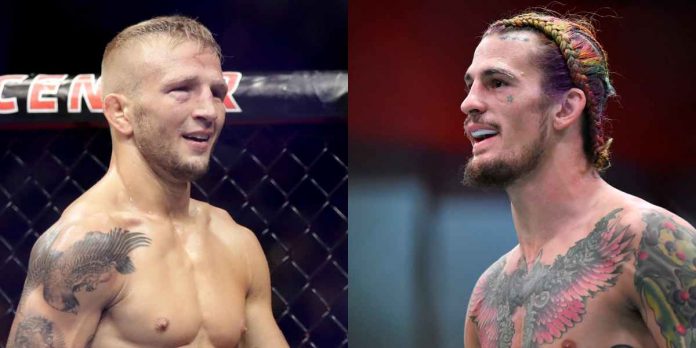 TJ Dillashaw, Sean O'Malley, UFC