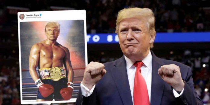 Donald Trump, Boxing