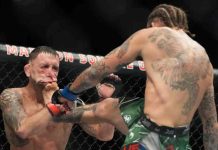 UFC 268, Marlon Vera, Frankie Edgar