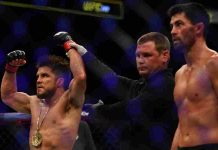 Henry Cejudo, Dominick Cruz, UFC