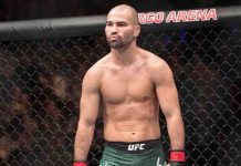 Artem Lobov, UFC