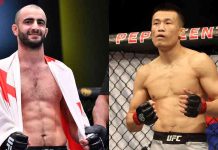 Giga Chikadze, The Korean Zombie, UFC