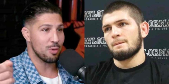 Brendan Schaub, Khabib Nurmagomedov, UFC