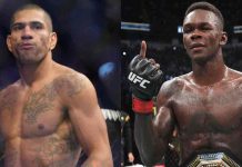 Alex Pereira, Israel Adesanya, UFC