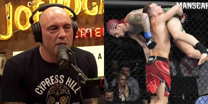 Joe Rogan, Petr Yan, Sean O'Malley, UFC 280