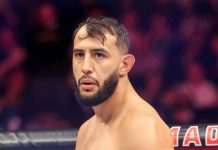 Dominick Reyes UFC