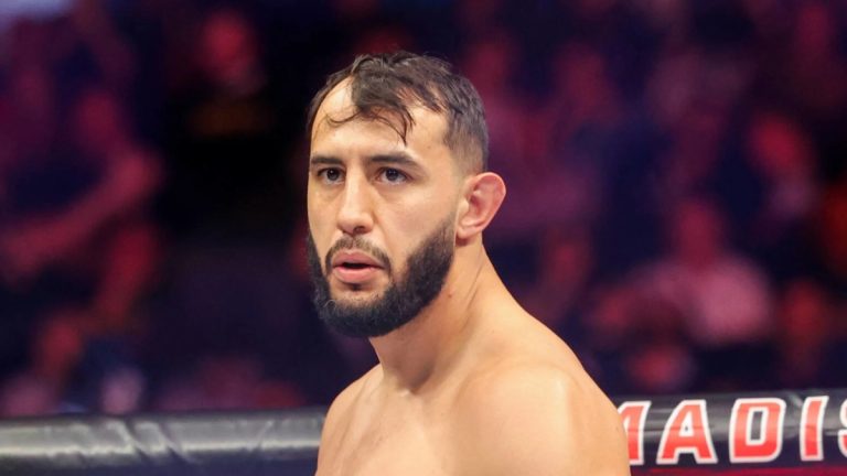 Dominick Reyes UFC