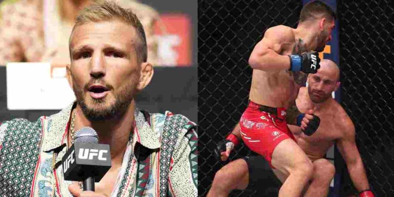 TJ Dillashaw, Alex Volkanovski